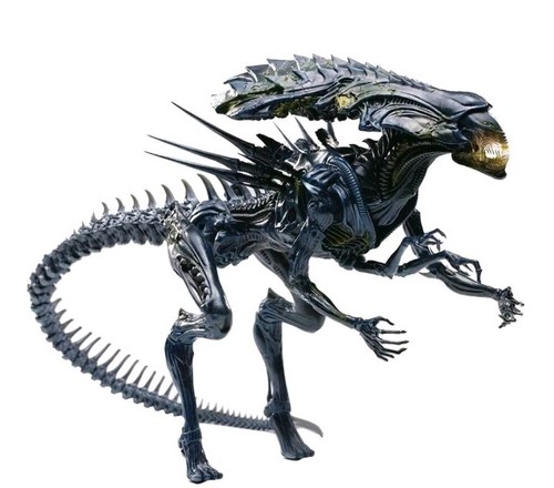 Alien predator battle - predator:,