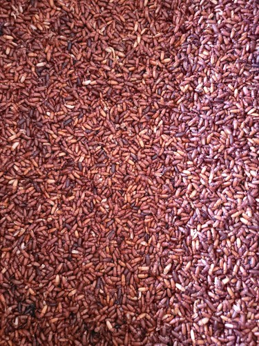 Predator foods bulk - foods,